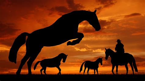 52 Horses At Sunset Wallpapers Wallpapersafari