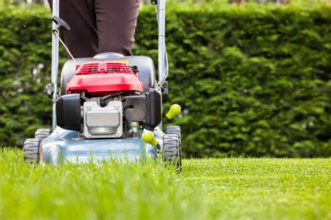 5 Spring Lawn Care Tips In Barrie Ontario Dle Property Maintenance