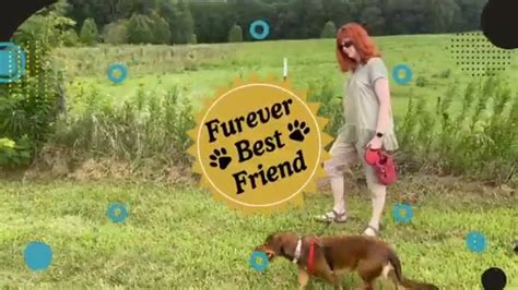 Furever Best Friend Youtube Channel Intro Youtube