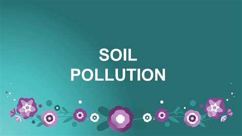 Solution Soil Pollution Studypool