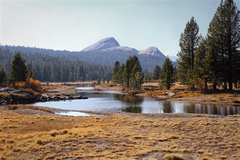 Tuolumne River View In California During An Autumn Day Stock Image
