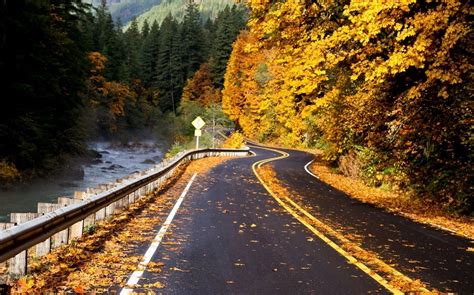 Photography Nature Landscape Road River Forest Fall Leaves