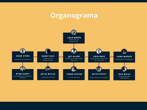 Organograma E Fluxograma Arquitetura Sololearn