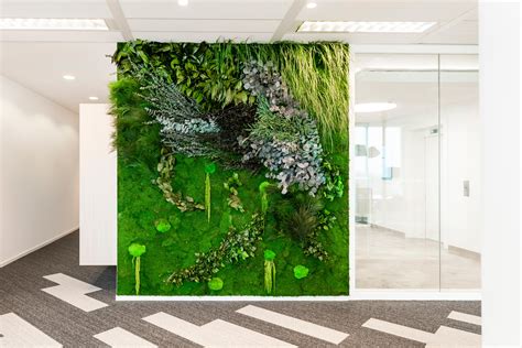 Green Walls Sparse Forest Architonic