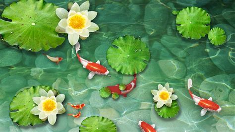 Lily Pad Wallpaper 54 Pictures