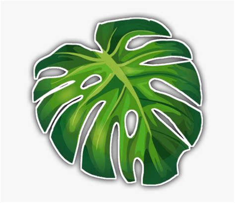 Koleski Terbaru Sticker Aesthetic Green Png Aneka Stiker Keren