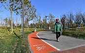 為提升公園品質，北京100個綠化隔離地區公園將配齊風景園林師 - 新浪香港
