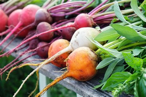 How Can You Use Beets For Better Blood Pressure The Peoples Pharmacy