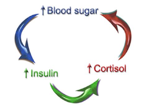 Managing Blood Sugar Insulin Resistance And Hypoglycemia In Fitness Precision Nutrition
