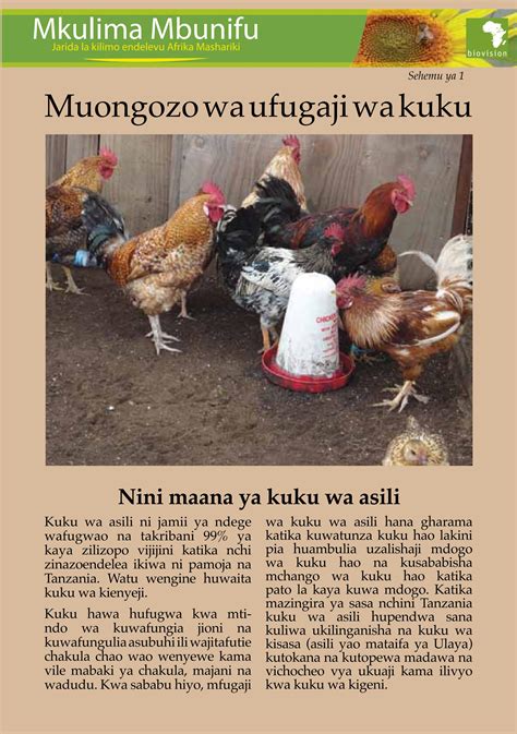 Mwongozo Wa Ufugaji Wa Kuku By Mkulima Mbunifu Issuu