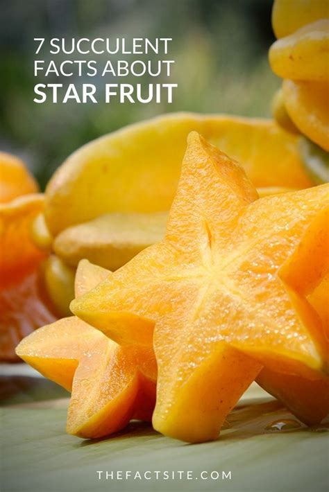 7 Succulent Facts About Star Fruit The Fact Site Star Fruit Recipes