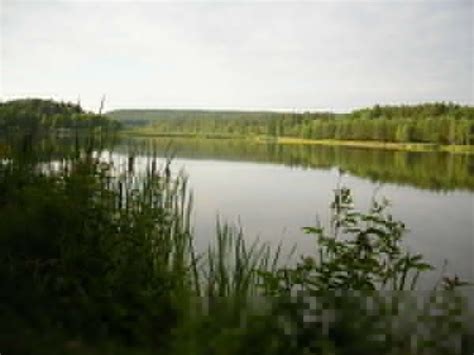На Львівщині лише 15 водойм придатні для відпочинку Варта 1