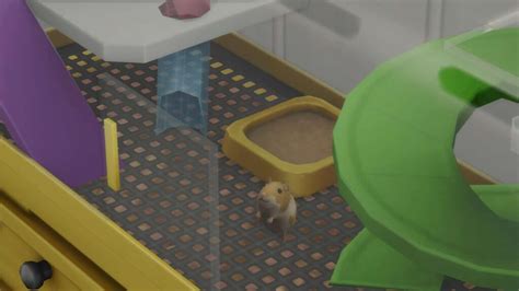 Le Gameplay Les Sims 4 Premier Animal De Compagnie Amazsims