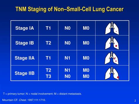 Ppt Nonsmall Cell Lung Cancer Diagnosis And Staging Powerpoint