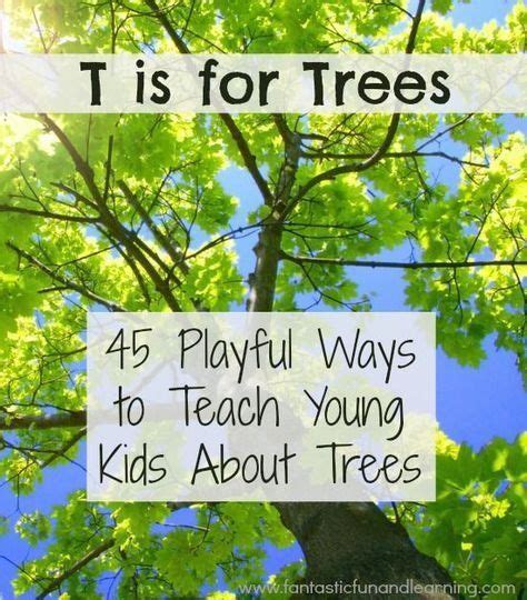 Tree Activities For Kids 1000 In 2020 Tree Study Trees For Kids
