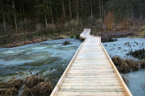 Free Images Landscape Water Forest Wilderness Wood Trail Bridge