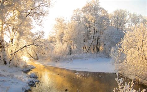 Picture Winter Nature Seasons
