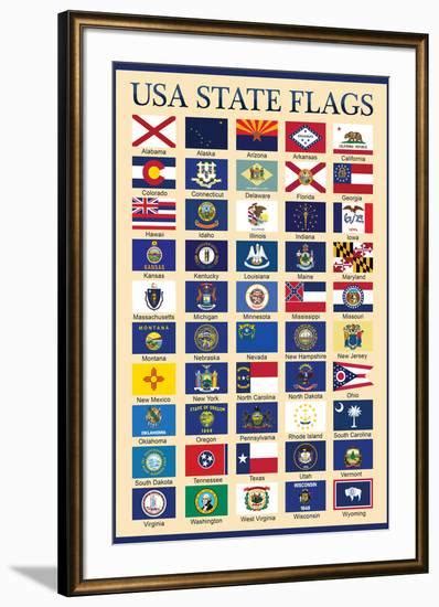 Usa 50 State Flags Chart Education Prints