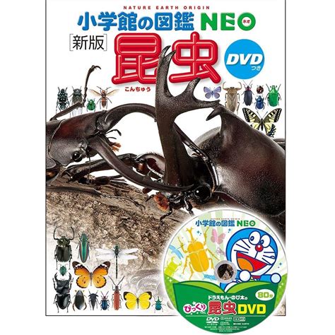 【楽天市場】小学館の図鑑neo 新版 昆虫 dvdつき：トイザらス・ベビーザらス