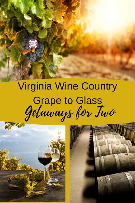 Best Virginia Wineries To Visit Virginia Wine Country Wine Country