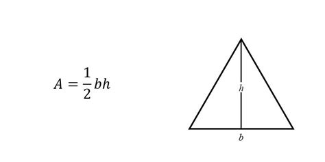 Triangle square rectangle parallelogram rhombus trapezium quadrangle circle ellipse. Area of a Triangle (Formulas & Examples) | Free Lesson