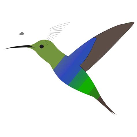 Hummingbird Png Svg Clip Art For Web Download Clip Art Png Icon Arts