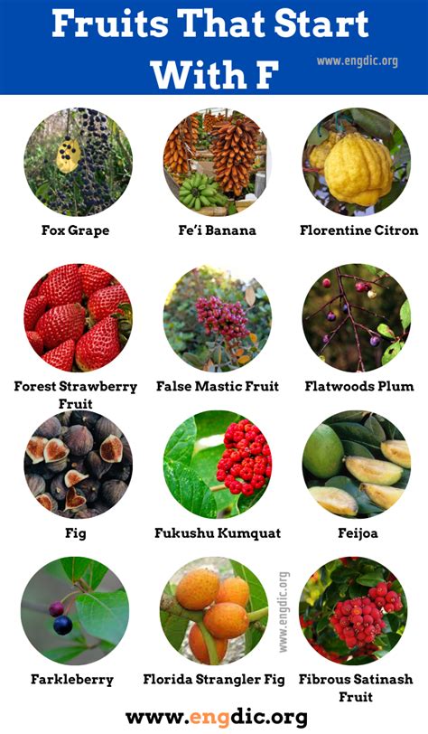 22 Fruits That Start With F Pictures And Properties Engdic