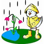 Animated Wet Clip Cartoon Clipart Spring Duck