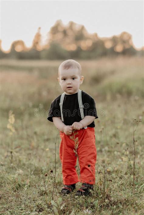Little Baby Boy Standing In The Field On The Grass In Summer Stock