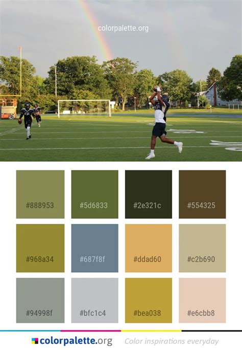 Sports Sport Venue Team Color Palette