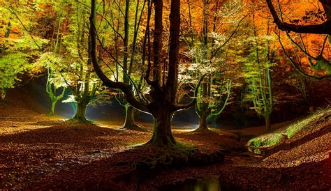 Hintergrundbilder Sonnenlicht Bäume Landschaft Beleuchtung Wald