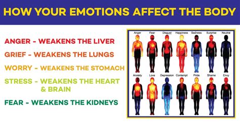 how negative emotions affect our body and its response to disease and illness