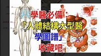 學醫必備：“人體結構大型醫學圖譜”，收藏吧，[健康之家] - YouTube