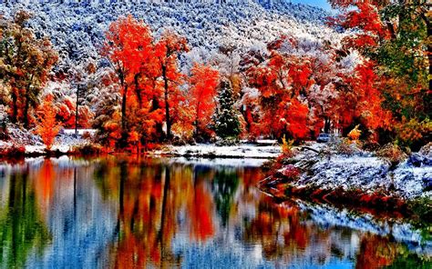Wonderful Nature Landscape Autumn Forest Snow On Mountain