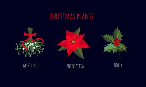 Christmas Plants Such As Mistletoe Poinsettia And Holly Elements Of