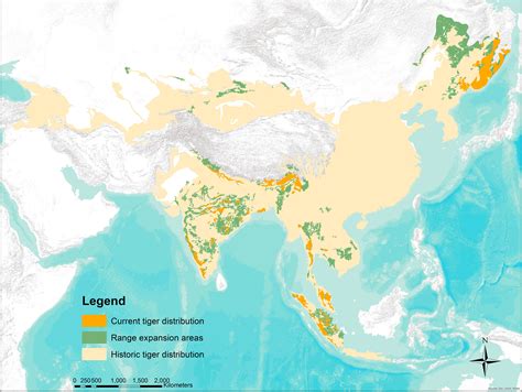 Frontiers Restoring Asias Roar Opportunities For Tiger Recovery