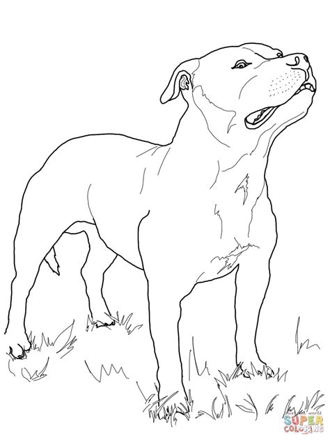 Pit Coloring Pages At Free Printable Colorings Pages