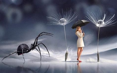 Spiders Snakes And Scorpions In Dreams The Biblical Meaning
