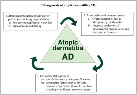 Comprehensive Approach Of Treatment Of Atopic Dermatitis Including