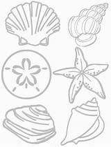 Coloring Pages Shells Beach Sea Ocean Kids Preschool Printable Crafts Craft Activities Collage Print Color Seashell Shell School Template Seashore sketch template