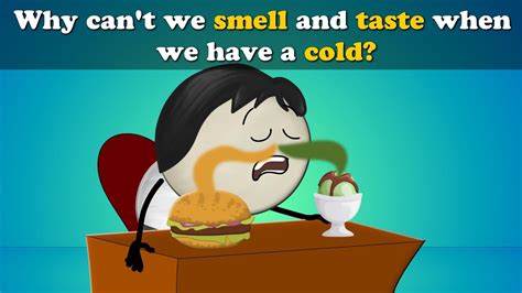 Why Cant We Smell Or Taste With A Cold More Videos Aumsum Kids