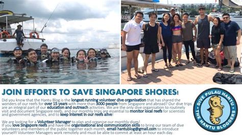 Celebrating Singapore Shores Volunteer Manager Wanted For Pulau Hantu