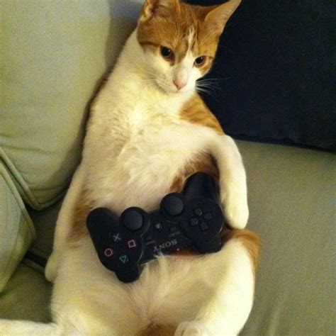 He Likes To Play Video Games Yeah Playing Video Games Gaming