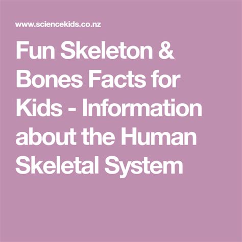 Fun Skeleton And Bones Facts For Kids Information About The Human