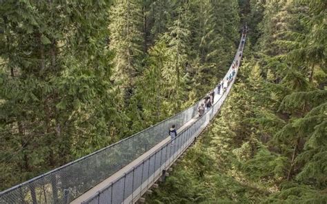 Capilano Suspension Bridge Park Visit Guide 2024 Vancouver Planner