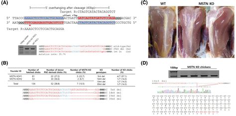 Generation Of Myostatin‐knockout Chickens Mediated By D10a‐cas9 Nickase