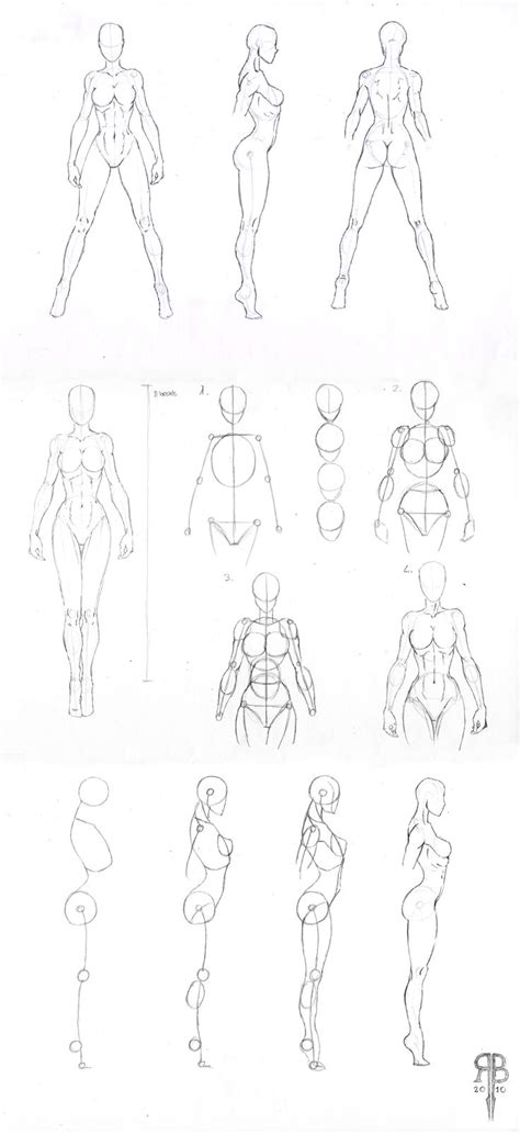 Female Body Outline Sketch Head Tutorial By Crydiaa Bocagewasual
