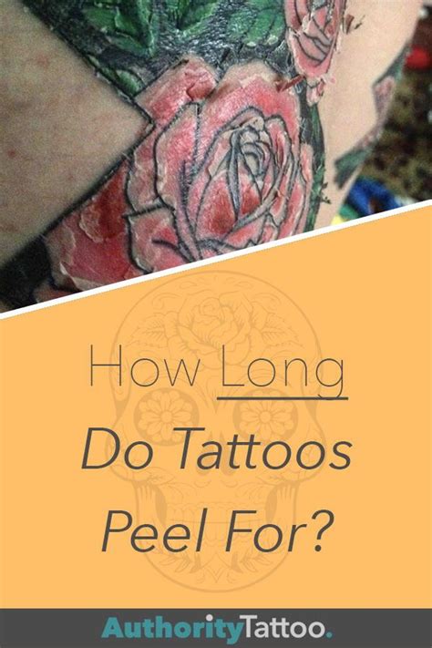 The tattoo will then continue to darken for the next 10 to 12 hours. How Long Do Tattoos Peel For? in 2021 | Tattoo peeling, Tattoo healing process, Learn to tattoo