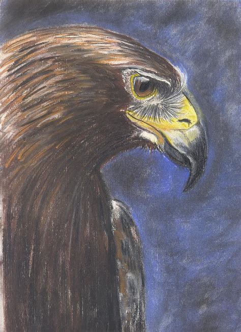 Golden Eagle Pastel By Bridgitte Mcbride Flores Fine Art America