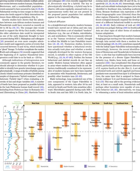 Age Ranges For The Presence Of Different Hominin Taxa Modern Humans